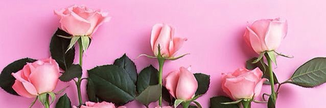 _Danzarina's profile banner image