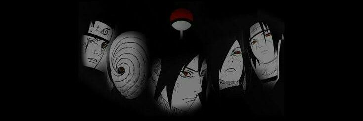 didelucca's profile banner image