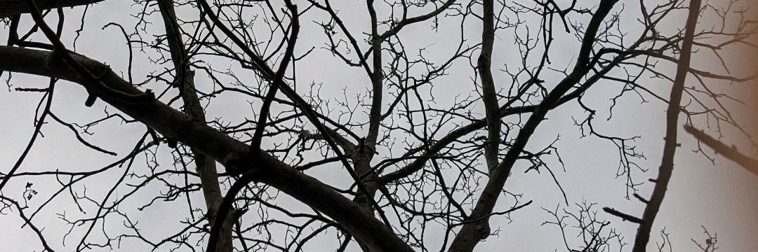 Sarika Jaswani banner