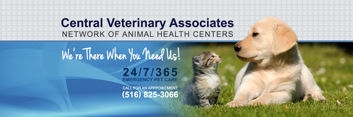 centralvets's profile banner image