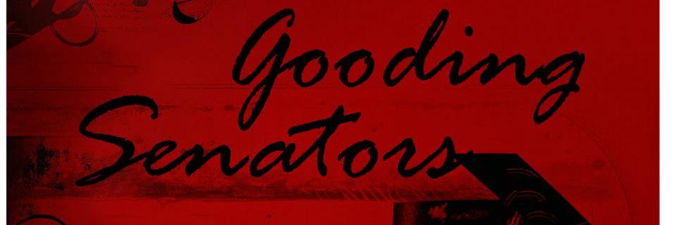Senators banner