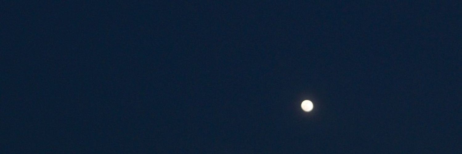 elephantstar___'s profile banner image