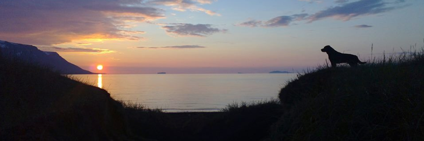 rakel_ros's profile banner image