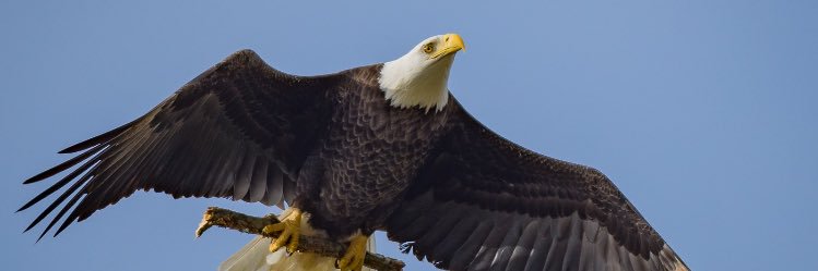 bluejean24's profile banner image