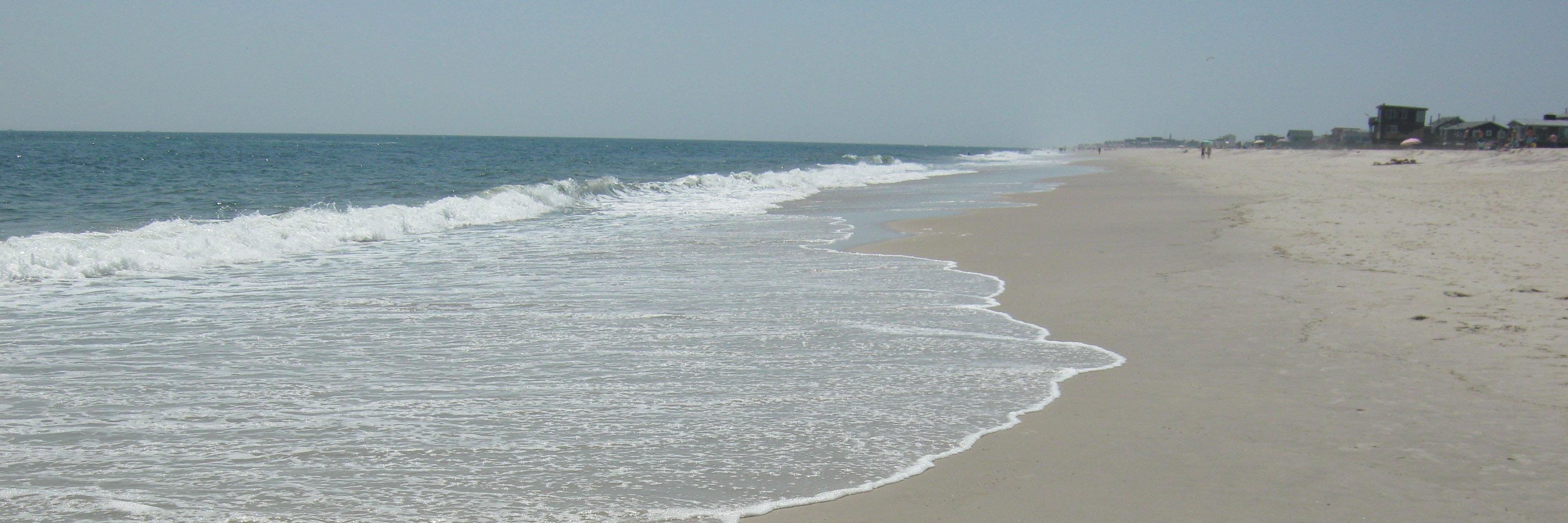 MsEberle1's profile banner image