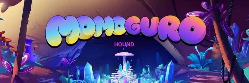 gonzalezfever's profile banner image