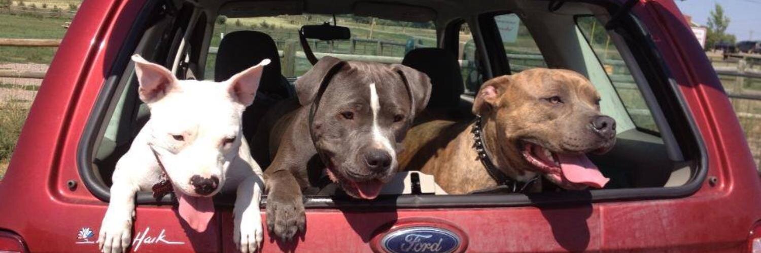 ARRColorado's profile banner image