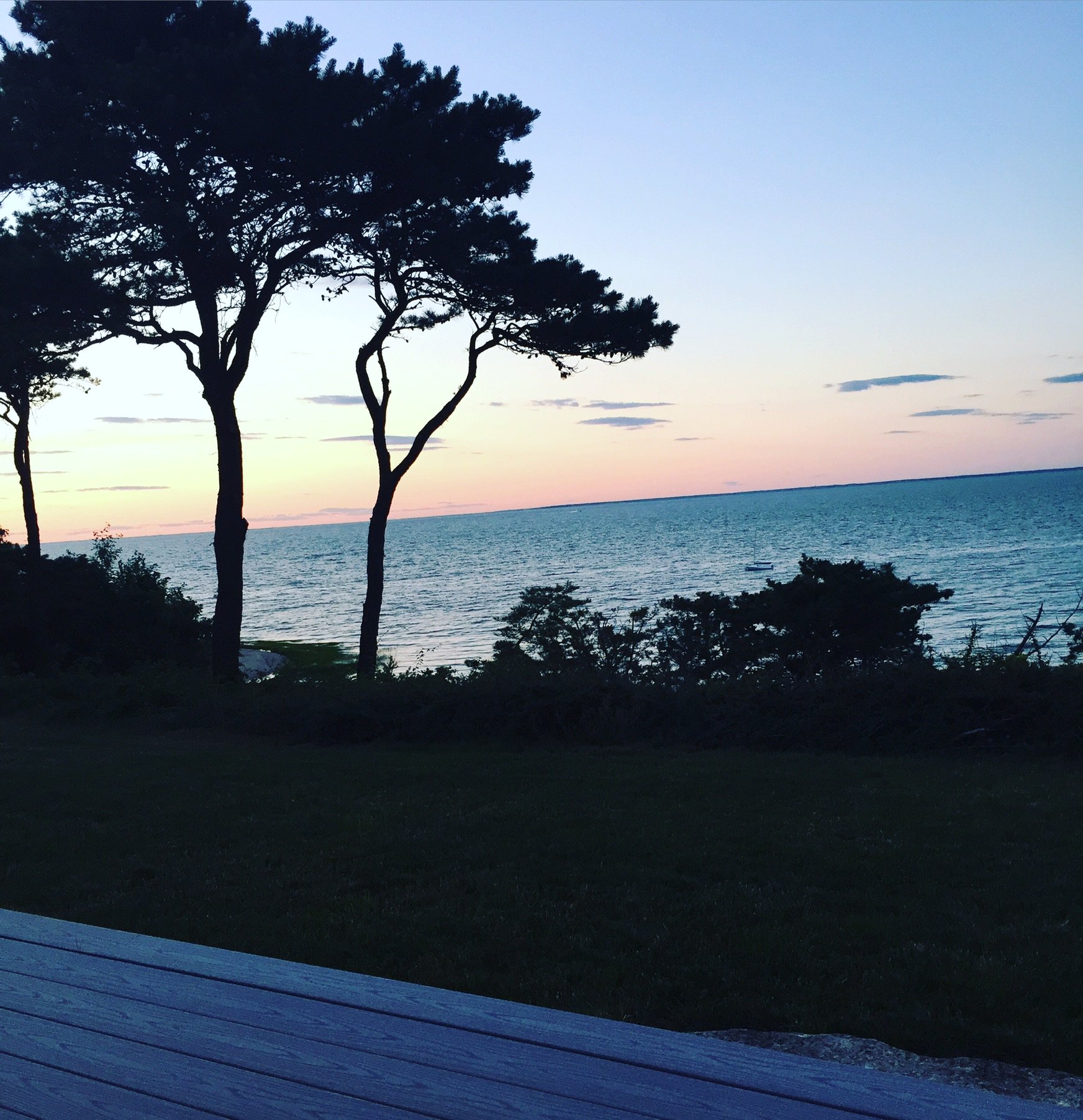 Alyssa Martino banner