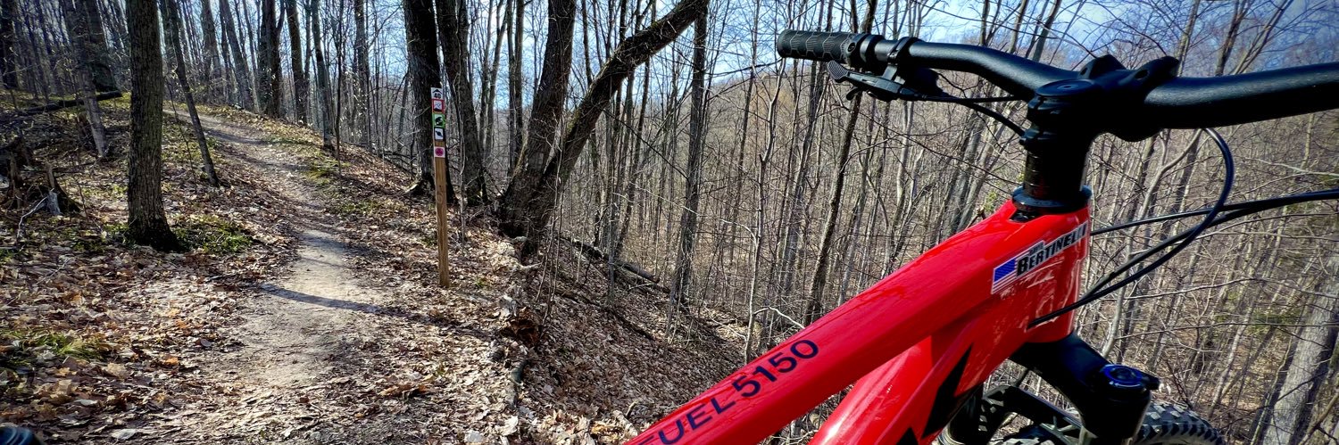 David Bertinelli banner