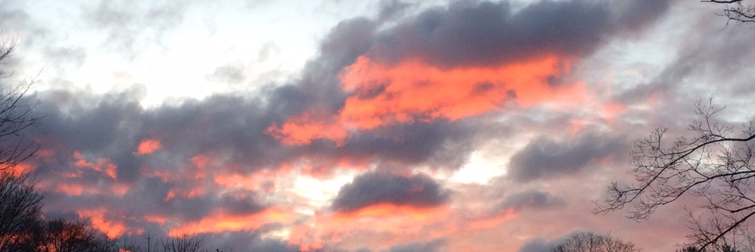 callieflanagan3's profile banner image