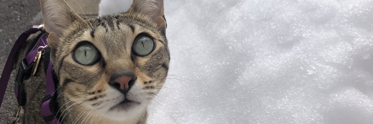 Rest ‘N’ Relaxation banner