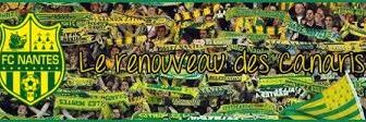 Sawyer banner