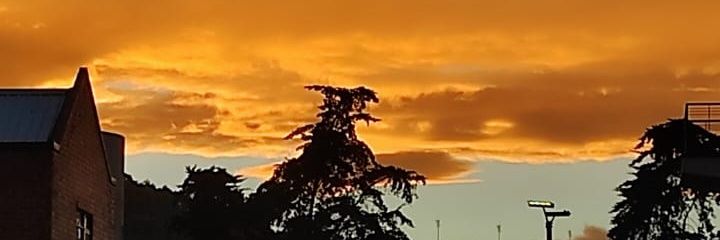 DanAlejadro's profile banner image