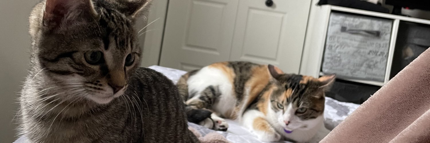 Morg_Addison's profile banner image
