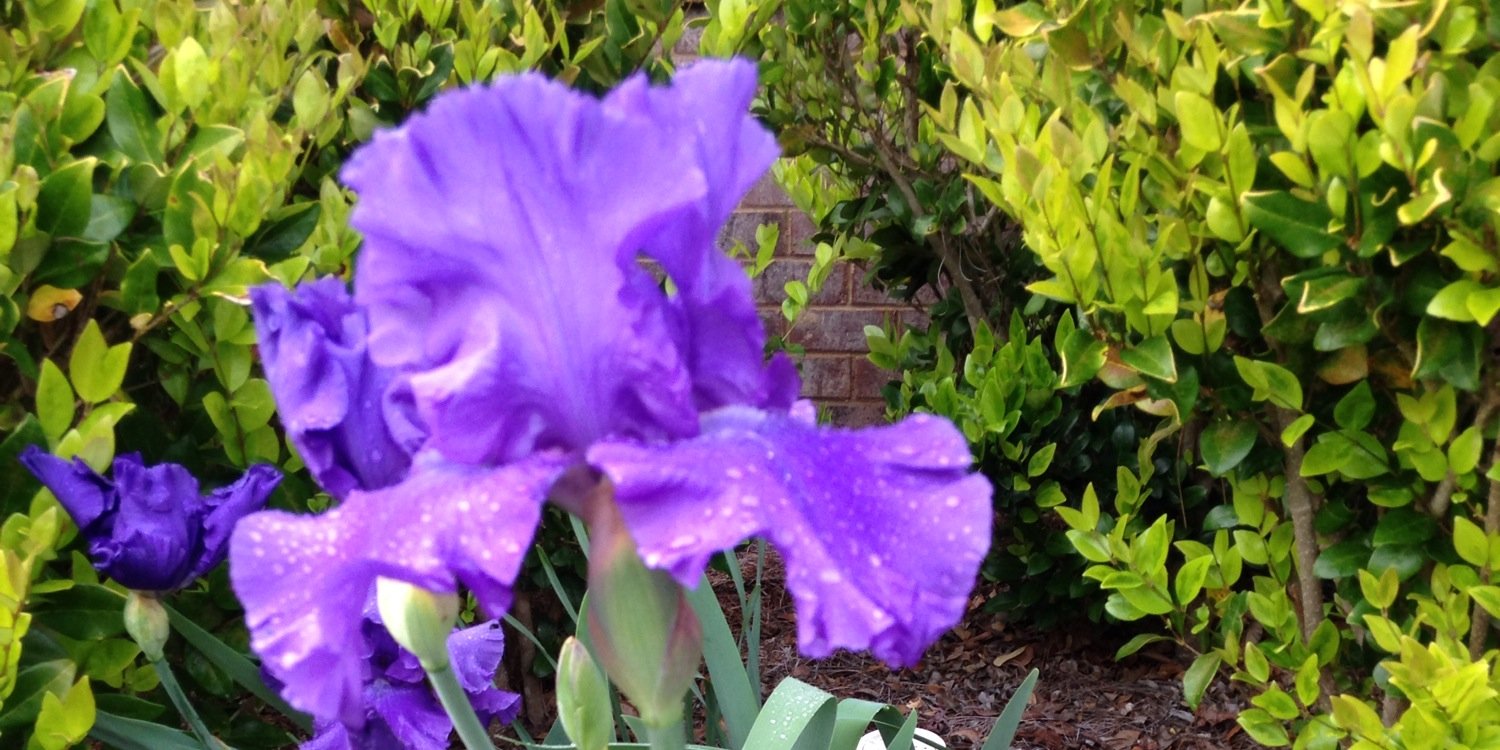 SheilaChaves618's profile banner image