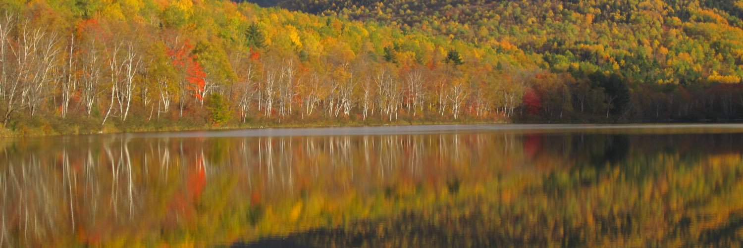 gerritlansing's profile banner image