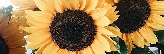 joannahday's profile banner image