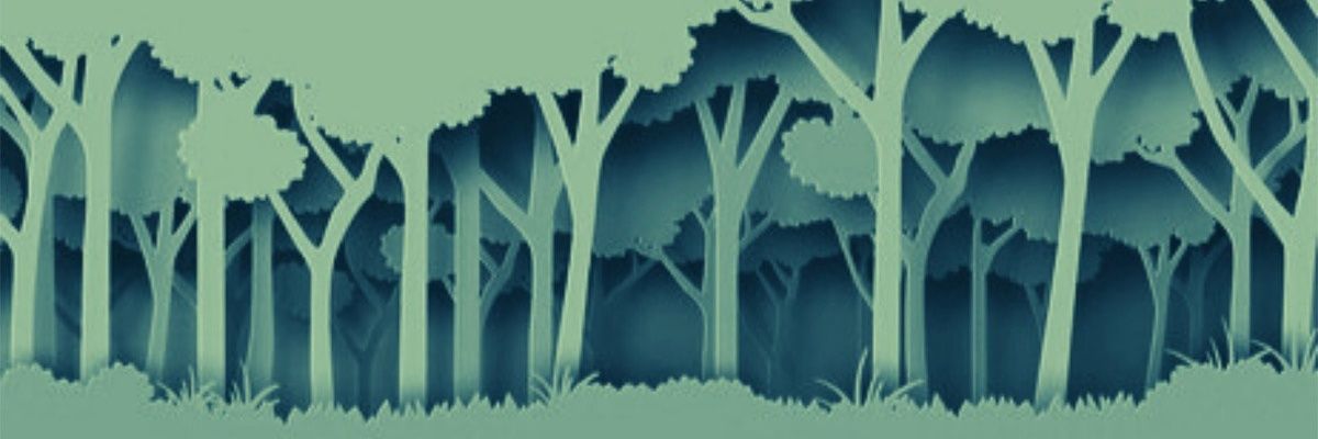 sylphare's profile banner image