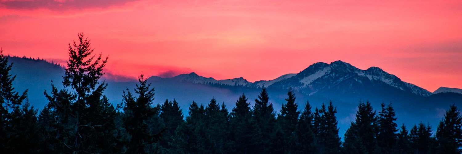 Ellasaurus_Rex_'s profile banner image