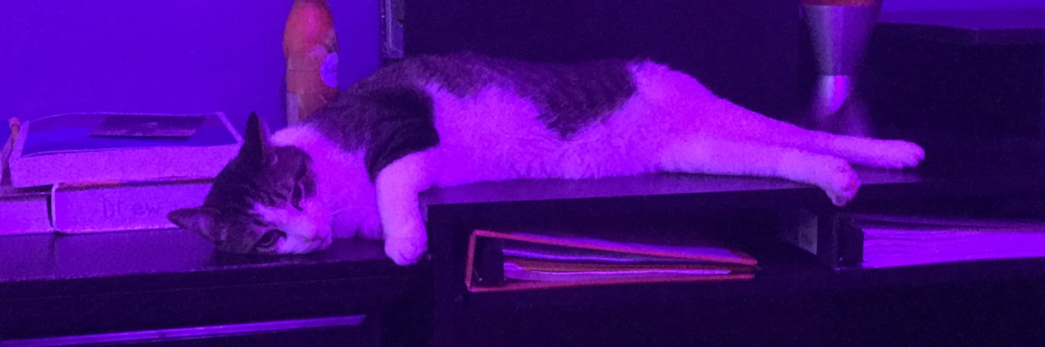 MagicalMongoos's profile banner image