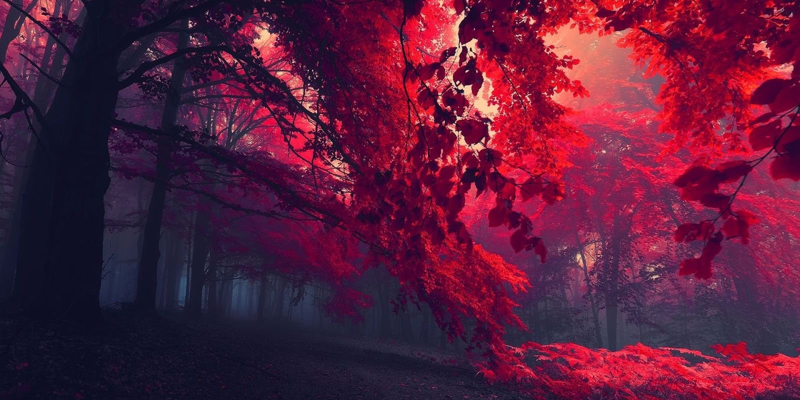 PPierrot85's profile banner image