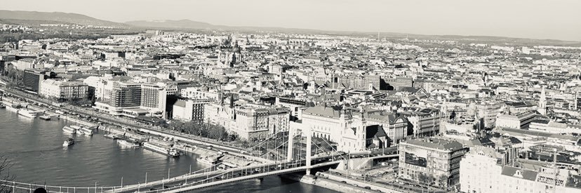 Wilfried_ct's profile banner image