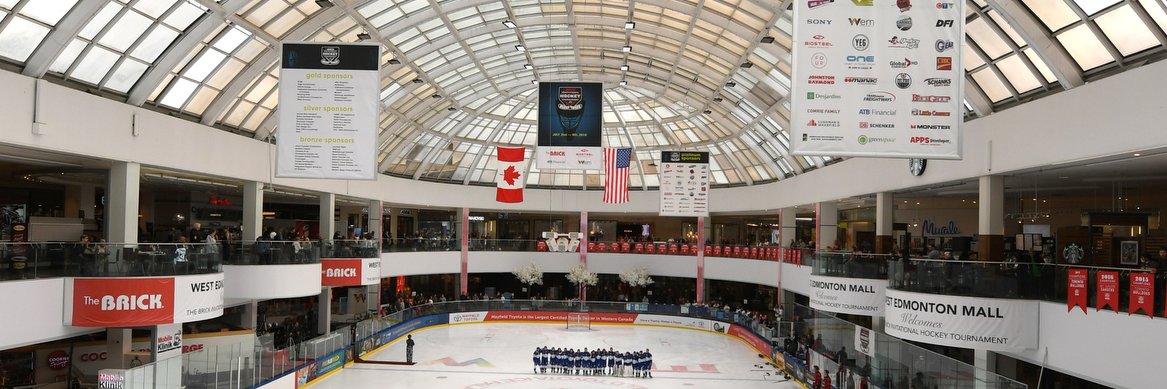 Brick Hockey's banner