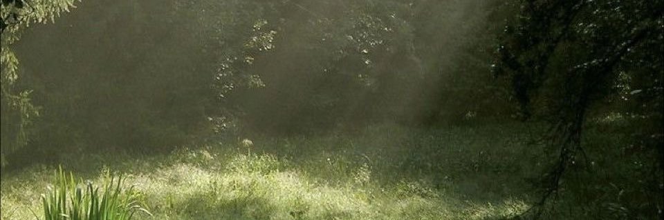 venicebitchs's profile banner image
