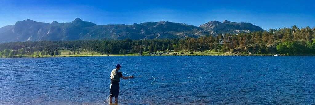 Brian Shepard banner