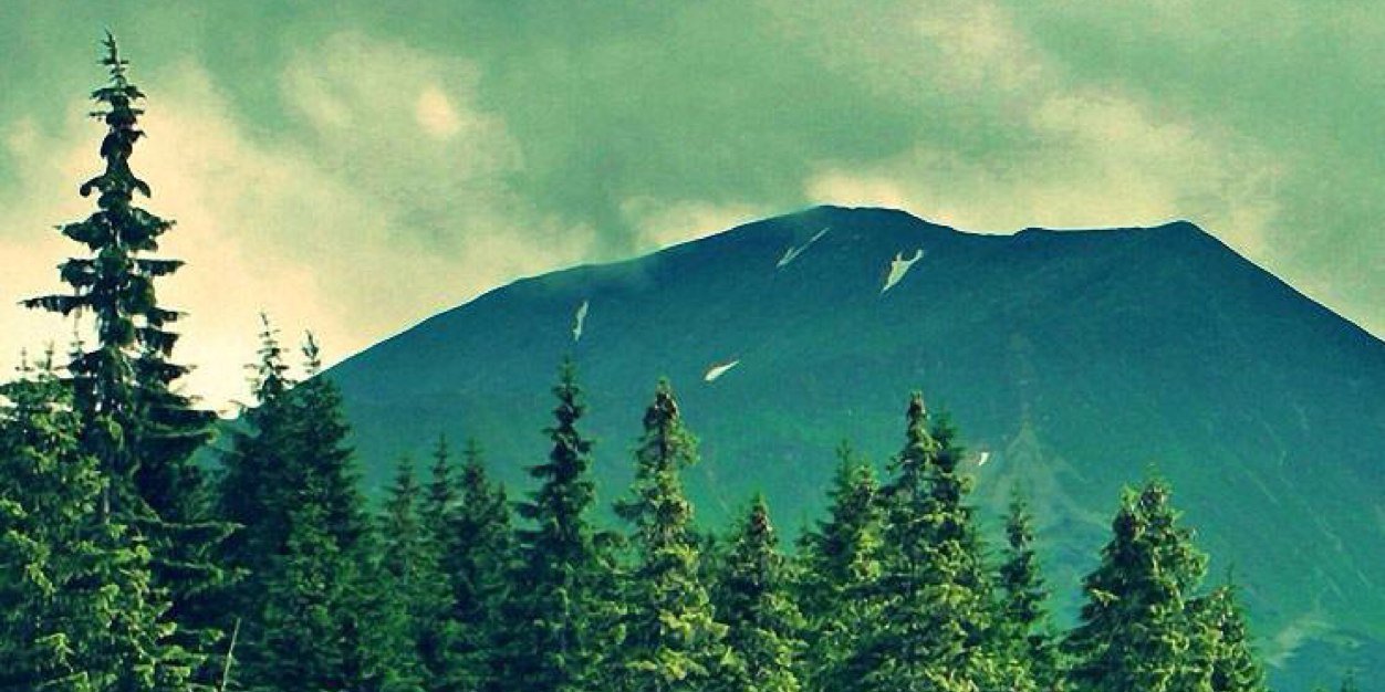 optmystc's profile banner image