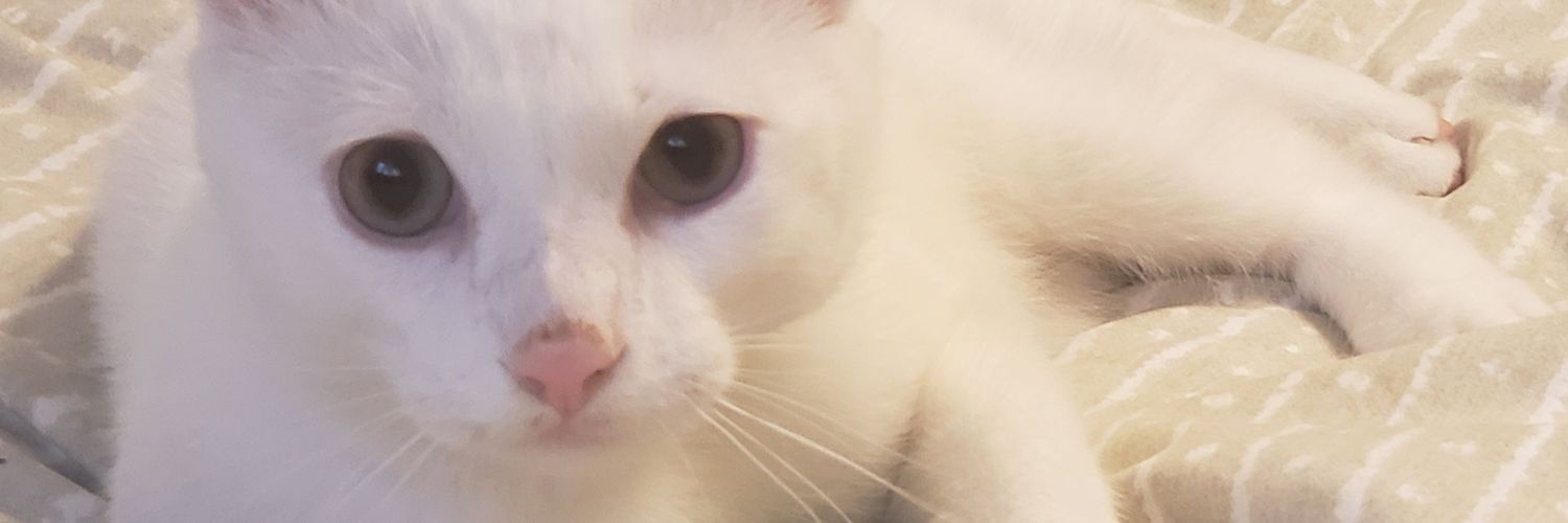 hape2give's profile banner image