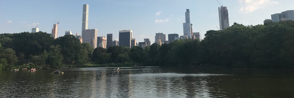 thecco23's profile banner image