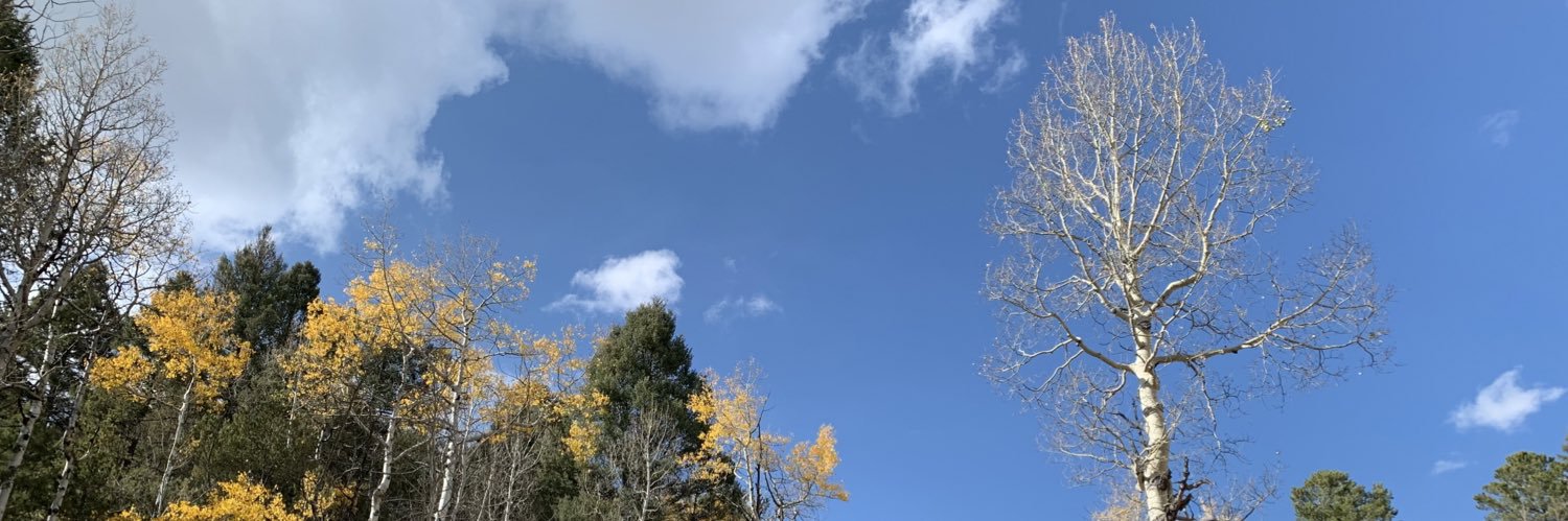 FlashnThunder's profile banner image