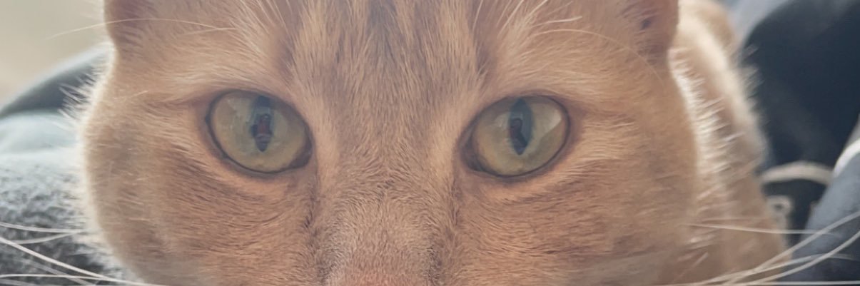 crazyhoes_'s profile banner image