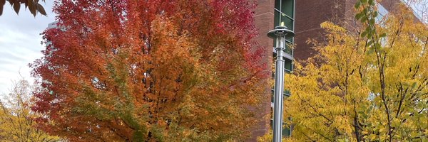 JessicaDAyers Profile Banner