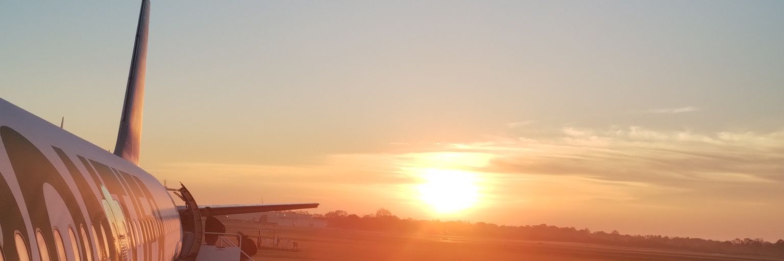 sandybermeog's profile banner image