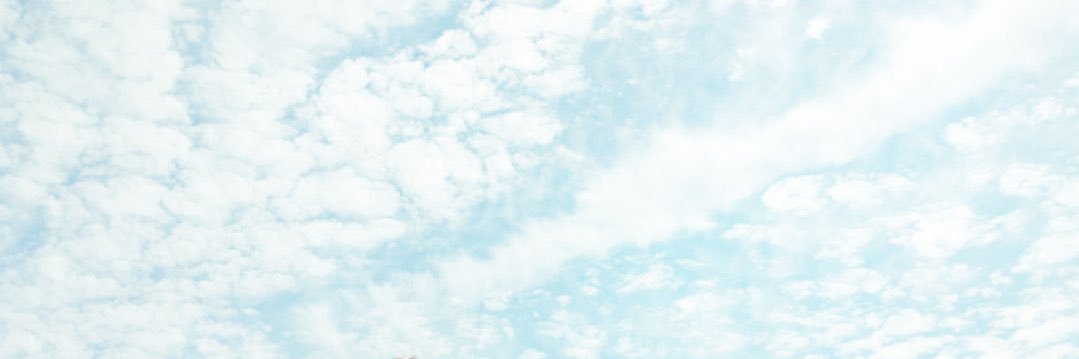 omu_omutan's profile banner image