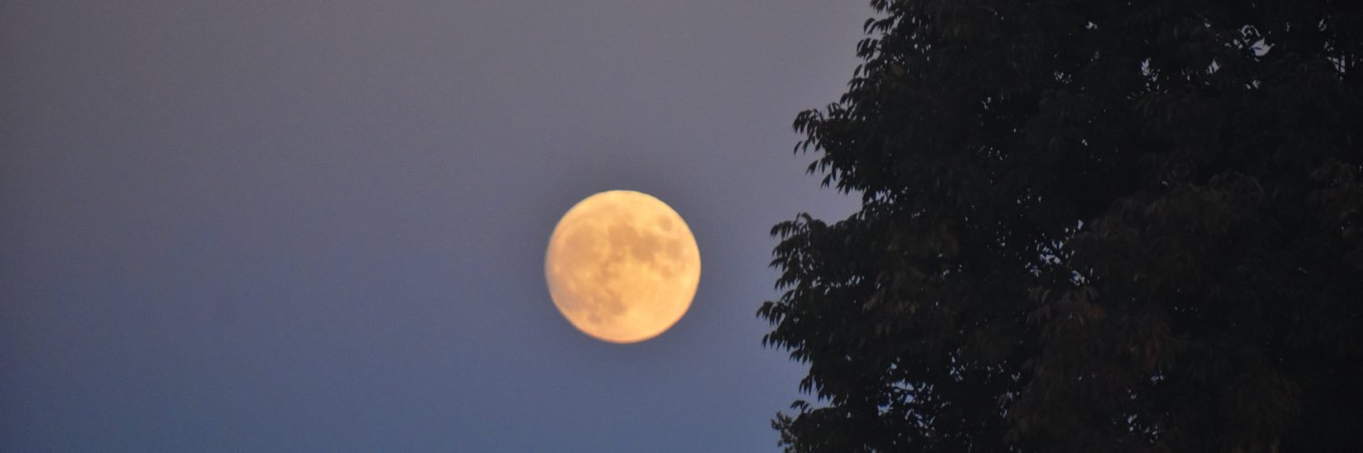 sushi slut 🍣 banner