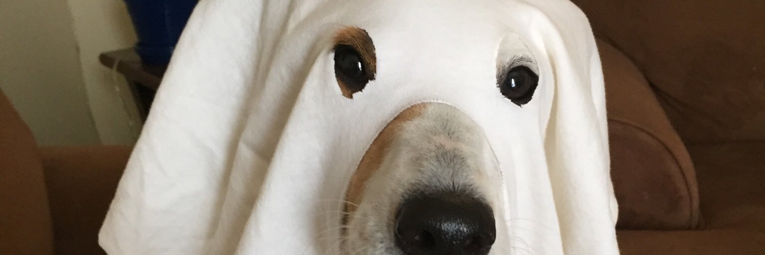 Nuck40's profile banner image