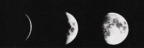 liilyocampos's profile banner image