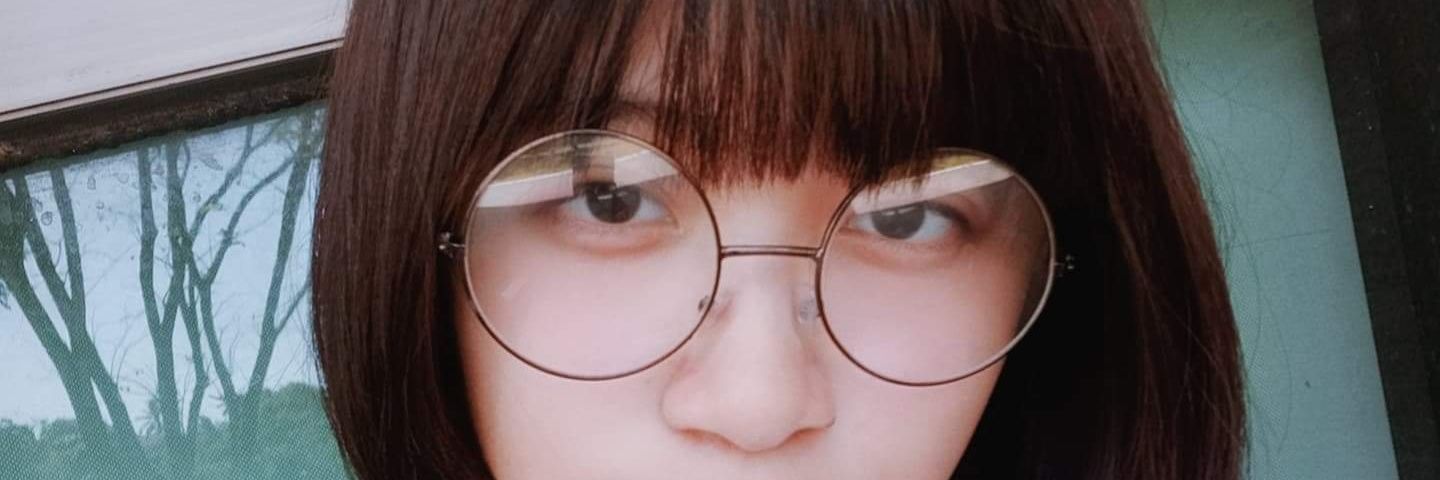 PAOwikanTurtle's profile banner image