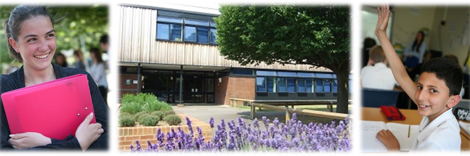 Denefield School banner