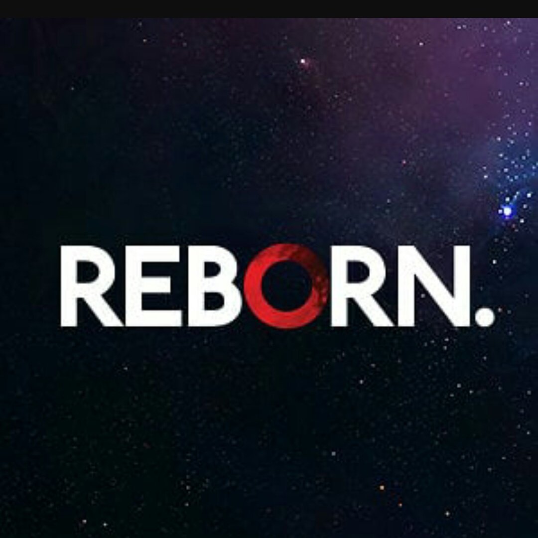 TheRealZooHouse's profile banner image