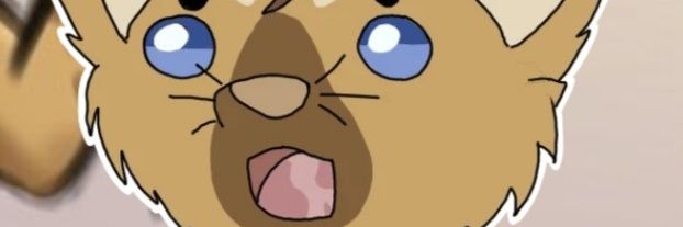 JetPineMarten's profile banner image