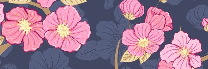 Cami_Vera99's profile banner image