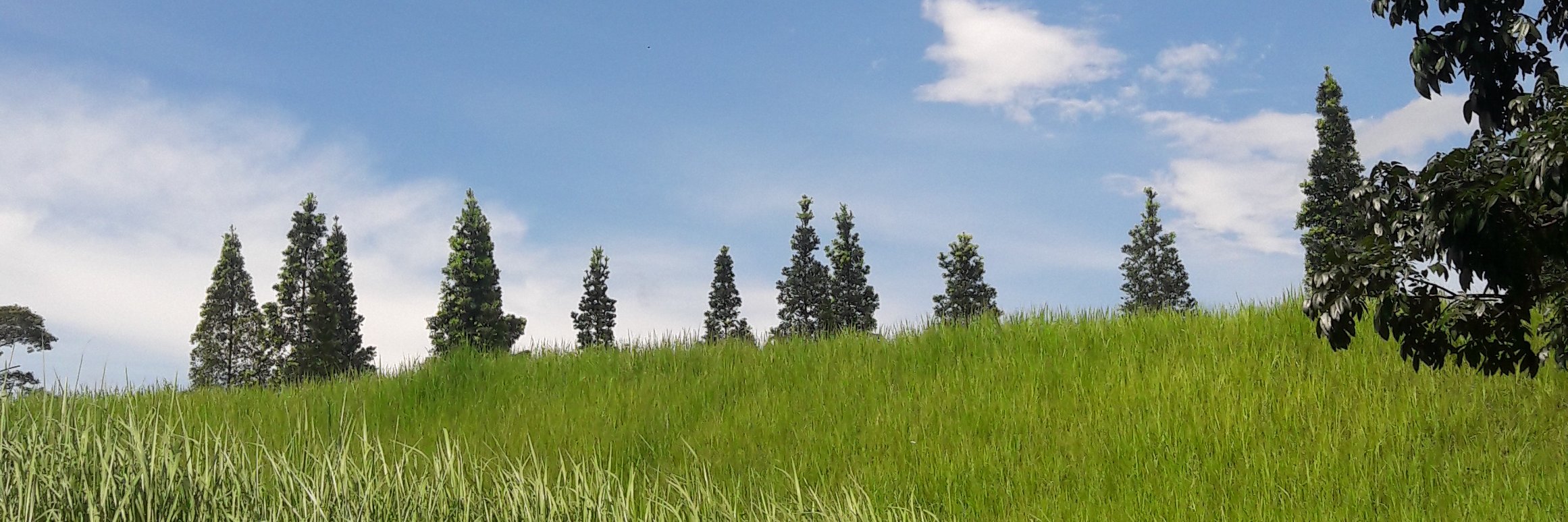 Davitray's profile banner image