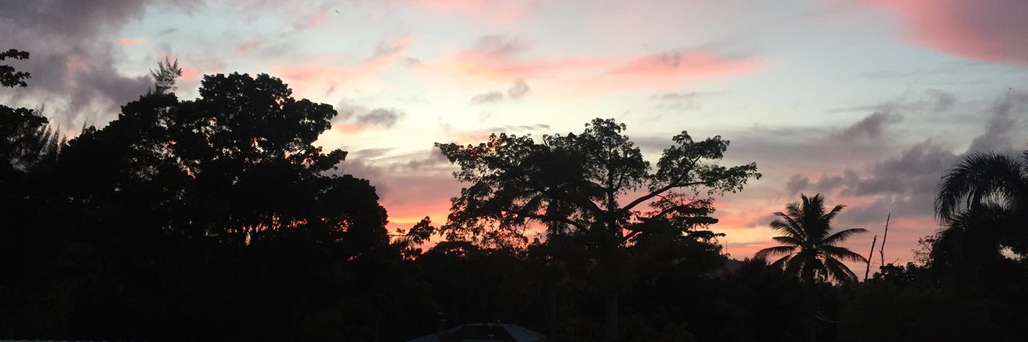 thankyouchels's profile banner image