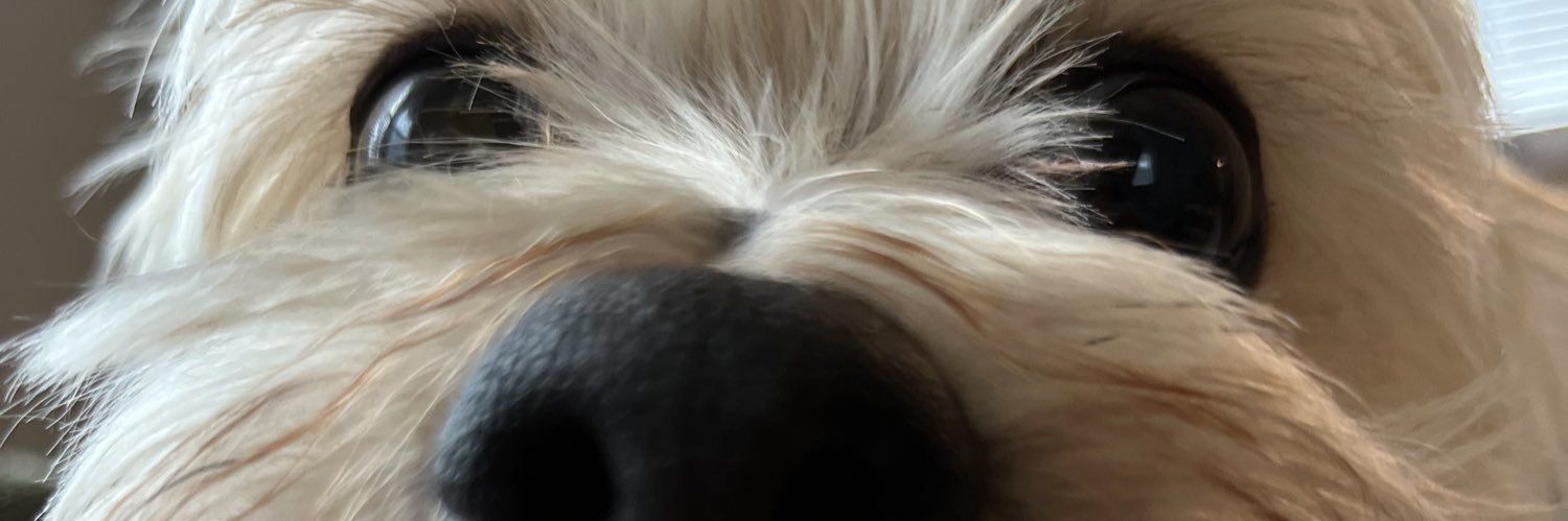 brad_tack's profile banner image
