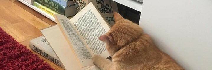 Karime Rocha 🧘🏻‍♀️ banner