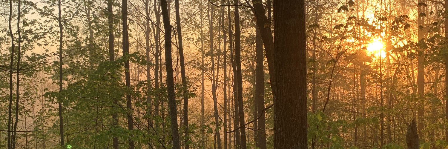 rbj14's profile banner image